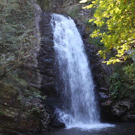 Gite De La Genevriere Saint-Chamant Buitenkant foto